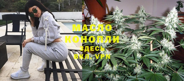 прущий лед Новозыбков