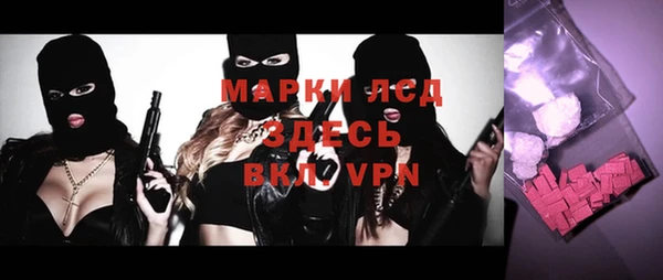 прущий лед Новозыбков
