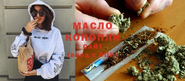 прущий лед Новозыбков