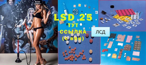 прущий лед Новозыбков