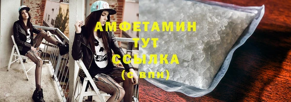 прущий лед Новозыбков