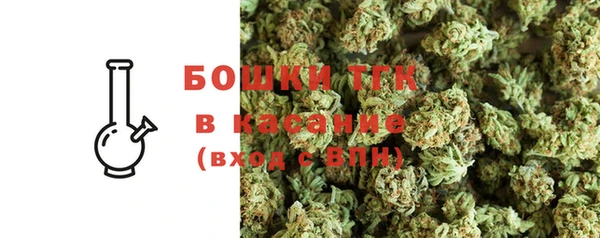 прущий лед Новозыбков