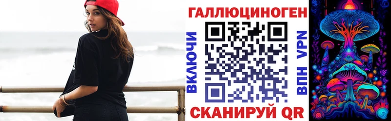 Псилоцибиновые грибы Psilocybe Староминская